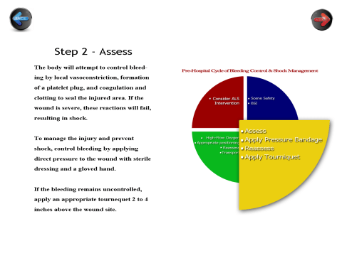 WhiteSpace Full Size